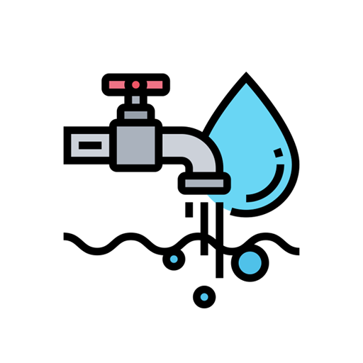  Expand Market Presence